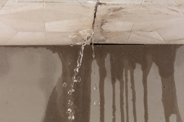 Professional Burst Pipe Cleanup technician working in Waller, TX